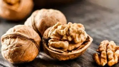 food for brain