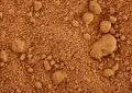 How to improve clay soil