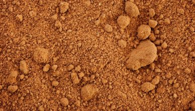 how to improve clay soil