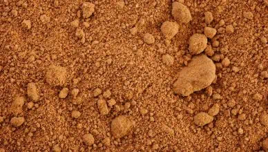 how to improve clay soil
