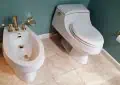 How to install bidet in a bathroom 2 How to install bidet in a bathroom