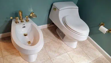 bidet