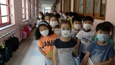 sounth korean masks