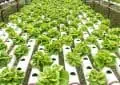How technology was changing food industry in 2014 3 How technology was changing food industry in 2014