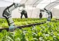Future of food technology investments 4 Future of food technology investments
