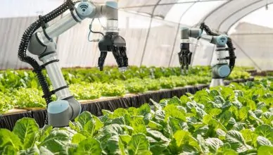 Future of food technology investments 3
