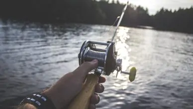 types of fishing rods and reels