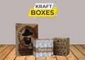 Unique Custom Kraft Boxes for Food Take-out Packaging