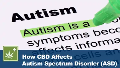 ASD & Anxiety diagnosis and CBD treatment 4