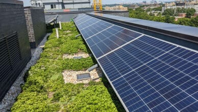 Solar Energy And Green Roofs: Combining Sustainability Practices