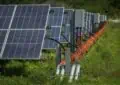 Solar Energy And Net Metering: Selling Excess Power Back To The Grid 2 Solar Energy And Net Metering: Selling Excess Power Back To The Grid