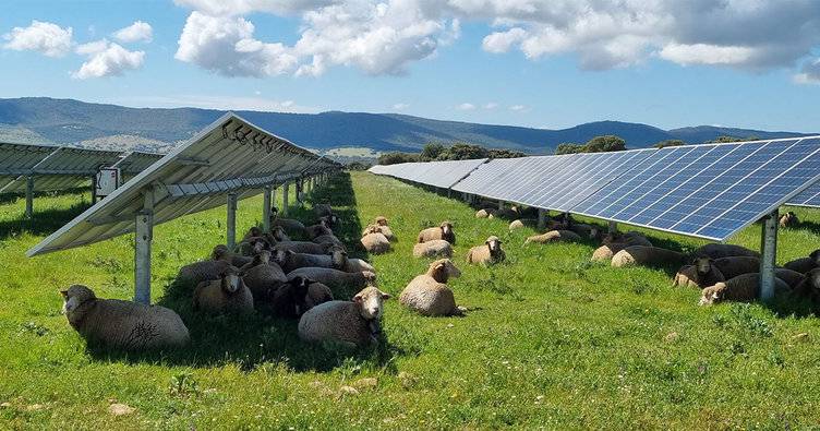 Solar Energy In Agriculture: Benefits For Farmers