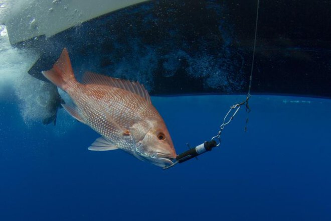 Fishing Help Improve Anglers