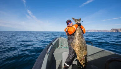 Can Fishing Help Improve Anglers Observational Skills