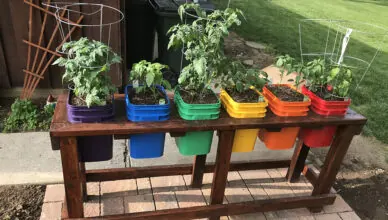 Container Gardening Ideas For Small Spaces: Growing Plants In Limited Areas