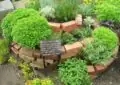 Creating A Herb Spiral: Maximizing Space For Growing Herbs
