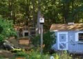 Creating A Wildlife-Friendly Garden: Attracting Birds, Bees, And Butterflies