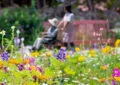 Designing A Sensory Garden: Engaging The Senses With Fragrant Flowers And Textures 2 Designing A Sensory Garden: Engaging The Senses With Fragrant Flowers And Textures