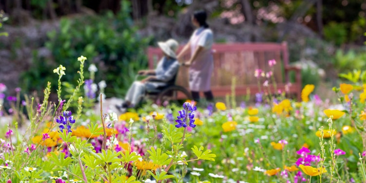Designing A Sensory Garden: Engaging The Senses With Fragrant Flowers And Textures