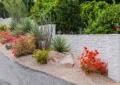 Drought-Tolerant Plants: Selecting And Caring For Water-Efficient Varieties