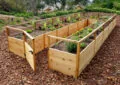 Exploring Different Types Of Garden Beds: Raised Beds, In-Ground Beds, And More 3 Exploring Different Types Of Garden Beds: Raised Beds, In-Ground Beds, And More