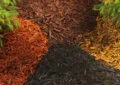 Exploring Different Types Of Garden Soil: Choosing The Right Mix For Your Plants 3 Exploring Different Types Of Garden Soil: Choosing The Right Mix For Your Plants