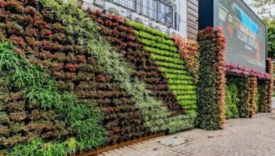 Exploring Vertical Gardening Techniques For Maximizing Space
