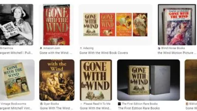 Gone With The Wind By Margaret Mitchell - Summary And Review2
