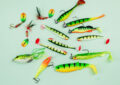 How To Choose The Best Bait For Different Fish Species?