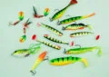 How To Choose The Best Bait For Different Fish Species? 5 How To Choose The Best Bait For Different Fish Species?