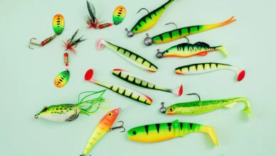 The Best Bait For Different Fish Species