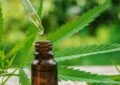 How To Determine The Right Cbd Dosage For Your Body? 4 How To Determine The Right Cbd Dosage For Your Body?