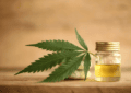 How To Identify High-Quality Cbd Products In The Market?