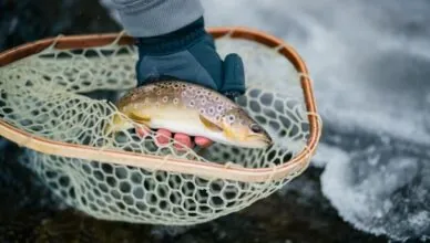 How To Practice Ethical Angling To Protect Fish Populations