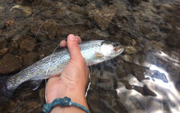 Practice Leave No Trace Principles While Fishing