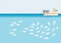 How To Practice Responsible Fishing To Preserve Natural Habitats? 2 How To Practice Responsible Fishing To Preserve Natural Habitats?