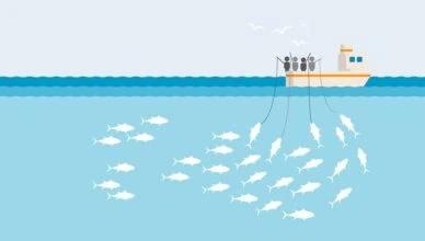 Practice Responsible Fishing