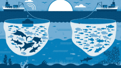 Responsible Fishing