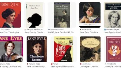 Jane Eyre By Charlotte Bronte - Summary And Review2
