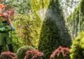 Natural Pest Control Methods For A Healthy Garden