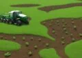 Organic Fertilizers Vs. Synthetic Fertilizers: Pros And Cons 2 Organic Fertilizers Vs. Synthetic Fertilizers: Pros And Cons