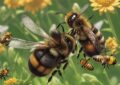 The Role Of Bees In Pollination: Creating A Bee-Friendly Garden