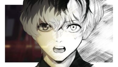 manga and anime