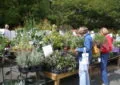 Understanding Plant Hardiness Zones: Selecting Plants Suitable For Your Climate