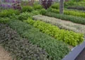 What Are Herb Gardens And How To Grow Your Own Herb Garden For Fresh Flavors 4 What Are Herb Gardens And How To Grow Your Own Herb Garden For Fresh Flavors