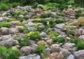 What Are Rock Gardens And How To Create A Beautiful Rock Garden Landscape 3 What Are Rock Gardens And How To Create A Beautiful Rock Garden Landscape