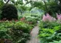 What Are Shade Gardens And How To Create A Lush Shade Garden In Your Yard 2 What Are Shade Gardens And How To Create A Lush Shade Garden In Your Yard