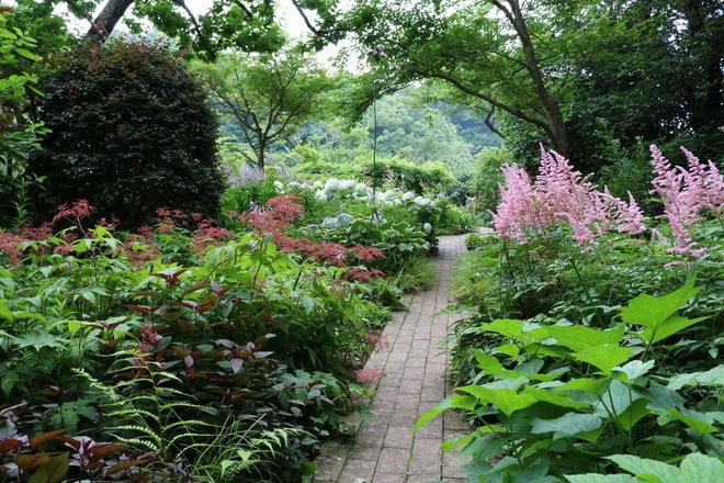 What Are Shade Gardens And How To Create A Lush Shade Garden In Your Yard
