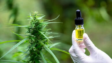 Cbd For Epilepsy