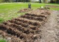 What Is No-Till Gardening And How To Adopt No-Till Practices For Healthy Soil